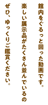 動画